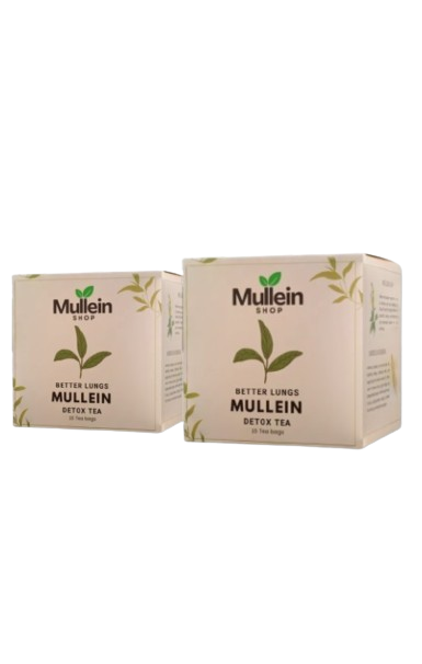 1 ShopMullein® Detox Tea