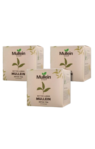 1 ShopMullein® Detox Tea