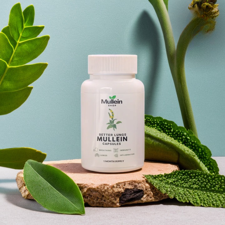ShopMullein® Detox Capsules 1