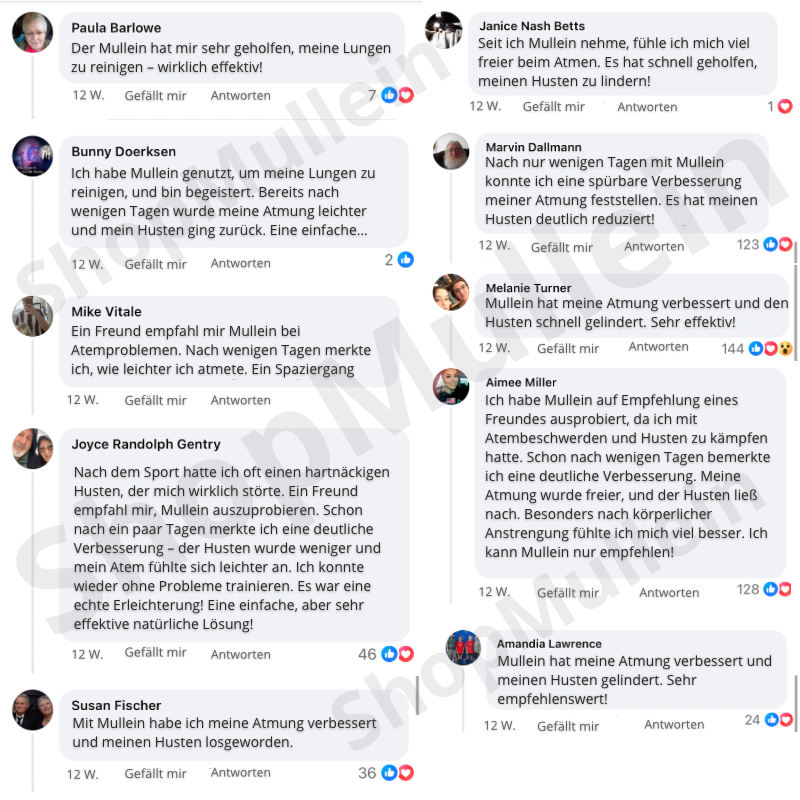 ShopMullein® Detox Capsules