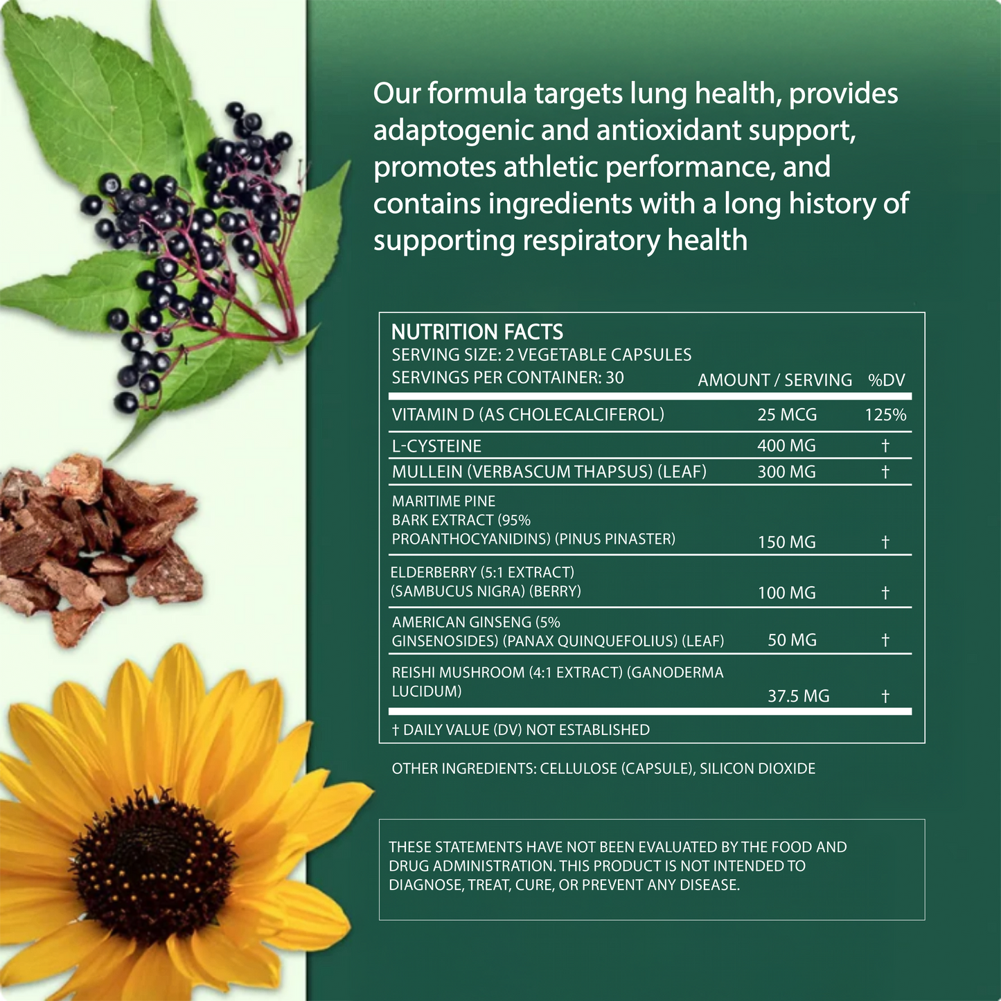 ShopMullein® Detox Capsules 1