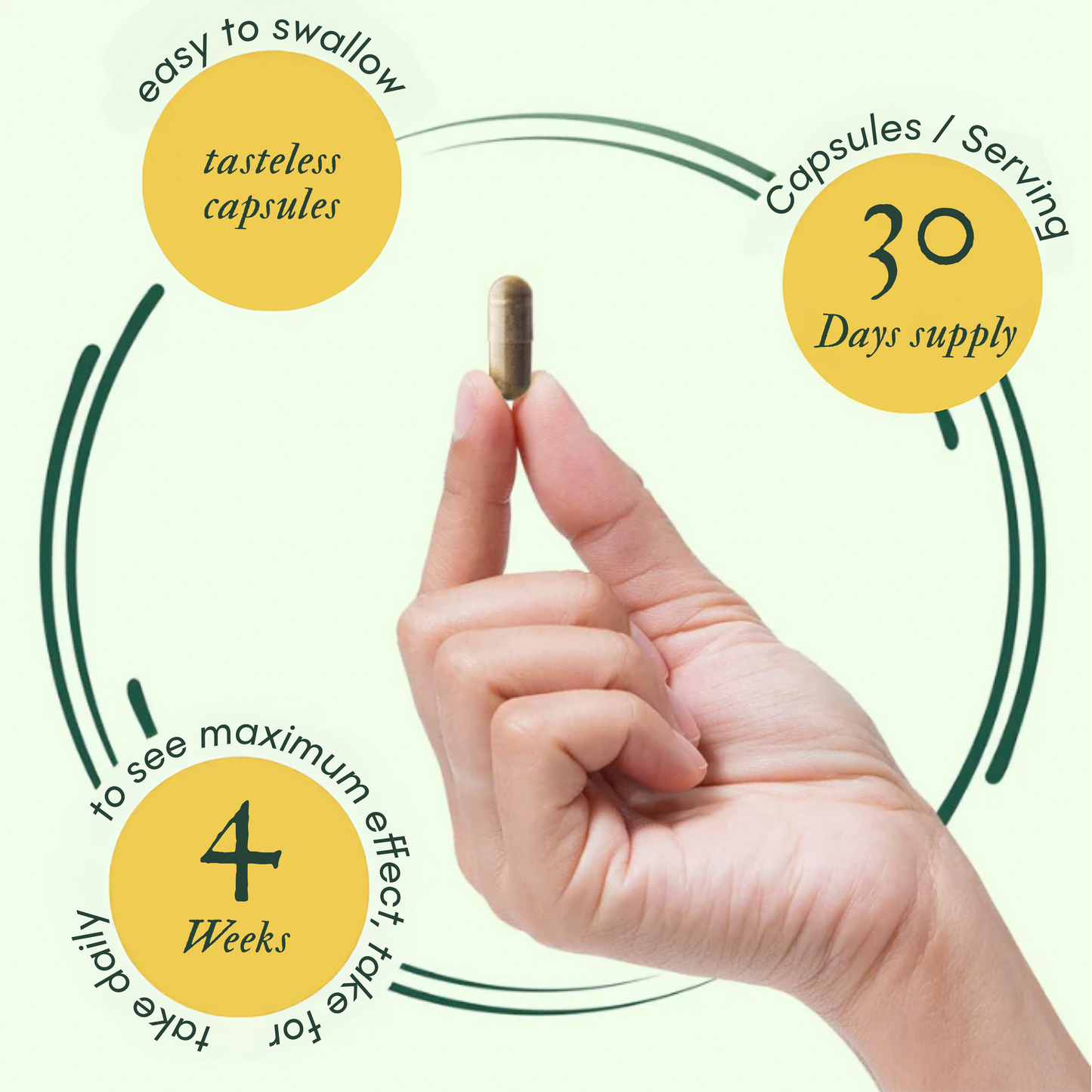 ShopMullein® Detox Capsules 1