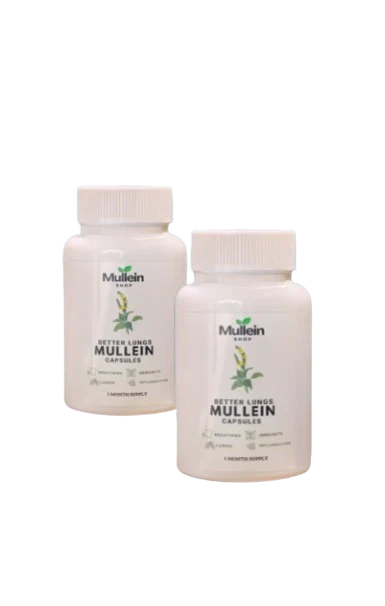 ShopMullein® Detox Capsules 1