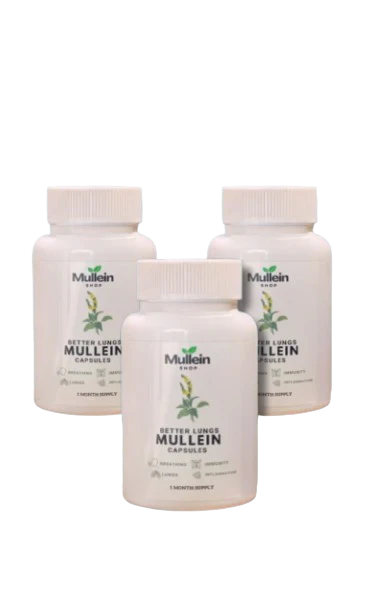 ShopMullein® Detox Capsules 1