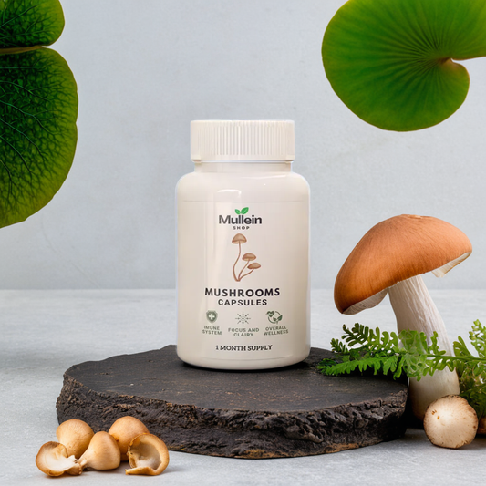 ShopMullein® Capsules de Champignons